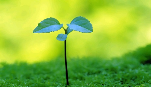 土壤氮磷鉀分析儀的選購“秘訣”