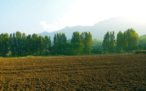 土壤養分檢測儀讓黃土變松軟肥沃、質量優渥、適耕性好