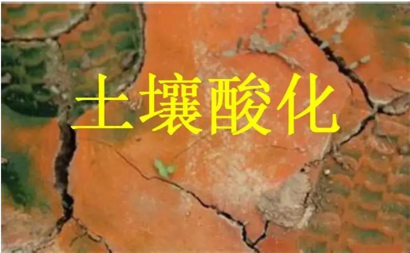識別土壤“病”，土壤測試儀器是如何提高土壤免疫力的？