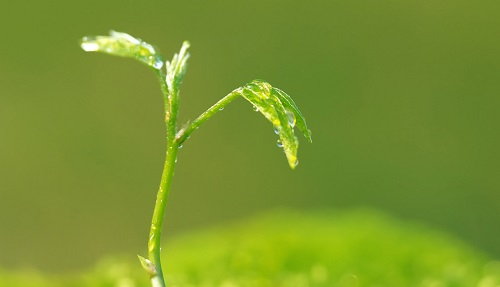 土壤水分溫度測(cè)定儀的正確操作流程