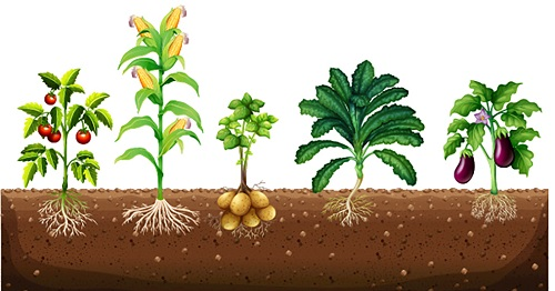 為什么要使用土壤水勢儀測量土壤水勢?（土壤水勢儀的重要性）