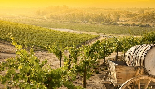 土壤水分溫度測定儀:精耕細作的基礎儀器 土壤水分溫度測定儀:精耕細作的基礎儀器