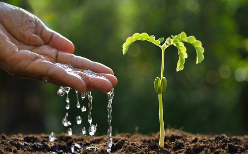 土壤墑情監測儀:精準灌溉科技的又一成果 土壤墑情監測儀:精準灌溉科技的又一成果