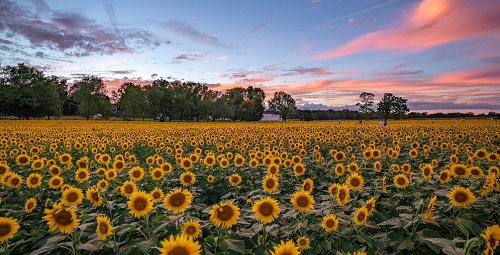 逐一介紹---多通道土壤養分測試儀的應用群體有哪些? 逐一介紹---多通道土壤養分測試儀的應用群體有哪些?
