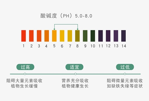 越來越嚴重的土壤酸化需要應用土壤原位pH儀科學應對